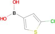 5-Chlorothiophene-3-boronic acid