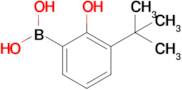 (3-tert-Butyl-2-hydroxyphenyl)boronic acid