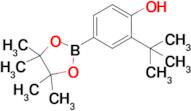 2-tert-Butyl-4-(4,4,5,5-tetramethyl-1,3,2-dioxaborolan-2-yl)phenol