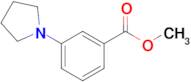 Methyl 3-pyrrolidin-1-ylbenzoate