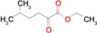 Ethyl 5-methyl-2-oxohexanoate