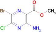 Methyl 3-amino-6-bromo-5-chloropyrazine-2-carboxylate