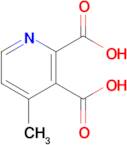 4-Methylpyridine-2,3-dicarboxylic acid