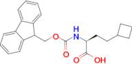 (S)-2-((((9H-Fluoren-9-yl)methoxy)carbonyl)amino)-4-cyclobutylbutanoic acid