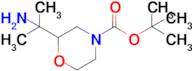 Tert-butyl 2-(2-aminopropan-2-yl)morpholine-4-carboxylate