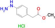 Methyl 2-(4-hydrazinylphenyl)acetate hydrochloride