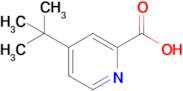 4-(Tert-butyl)picolinic acid
