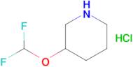 3-(Difluoromethoxy)piperidine hydrochloride