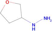 Tetrahydrofuran-3-ylhydrazine