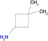 3,3-Dimethylcyclobutan-1-amine