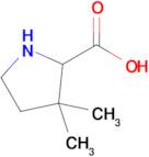 3,3-Dimethylpyrrolidine-2-carboxylic acid