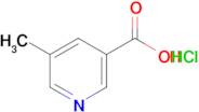 5-Methylpyridine-3-carboxylic acid hydrochloride