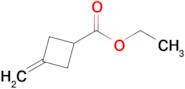 Ethyl 3-methylidenecyclobutane-1-carboxylate