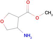 Methyl 4-aminotetrahydrofuran-3-carboxylate