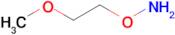 O-(2-Methoxyethyl)hydroxylamine