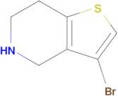 3-Bromo-4,5,6,7-tetrahydrothieno[3,2-c]pyridine