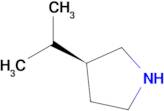 (3S)-3-(Propan-2-yl)pyrrolidine