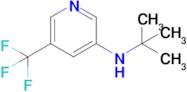 N-tert-Butyl-5-(trifluoromethyl)pyridin-3-amine