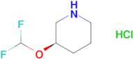 (3R)-3-(Difluoromethoxy)piperidine hydrochloride