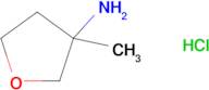 3-Methyloxolan-3-amine hydrochloride