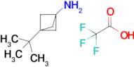 3-tert-Butylbicyclo[1.1.1]pentan-1-amine 2,2,2-trifluoroacetic acid