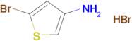 5-Bromothiophen-3-amine hydrobromide