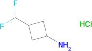 3-(Difluoromethyl)cyclobutan-1-amine hydrochloride