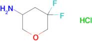 5,5-Difluorotetrahydropyran-3-amine hydrochloride