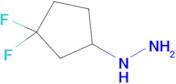 (3,3-Difluorocyclopentyl)hydrazine