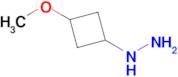 (3-Methoxycyclobutyl)hydrazine