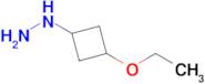 (3-Ethoxycyclobutyl)hydrazine