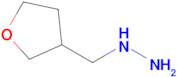 Tetrahydrofuran-3-ylmethylhydrazine