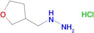 [(Oxolan-3-yl)methyl]hydrazine hydrochloride