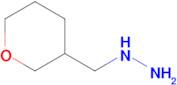 Tetrahydropyran-3-ylmethylhydrazine