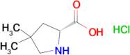 (2R)-4,4-Dimethylpyrrolidine-2-carboxylic acid hydrochloride