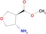 Methyl (3S,4S)-4-aminotetrahydrofuran-3-carboxylate