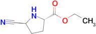 Ethyl (2S,5S)-5-cyanopyrrolidine-2-carboxylate