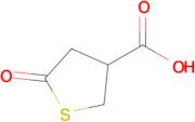 5-Oxothiolane-3-carboxylic acid