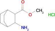 Methyl 3-aminobicyclo[2.2.2]octane-2-carboxylate hydrochloride