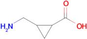 2-(Aminomethyl)cyclopropanecarboxylic acid