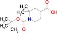 1-[(tert-Butoxy)carbonyl]-2,2-dimethylpiperidine-4-carboxylic acid