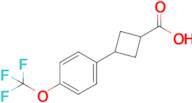 3-[4-(Trifluoromethoxy)phenyl]cyclobutane-1-carboxylic acid