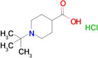 1-tert-Butylpiperidine-4-carboxylic acid hydrochloride