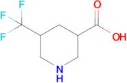 5-(Trifluoromethyl)piperidine-3-carboxylic acid