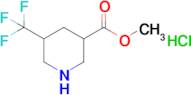 Methyl 5-(trifluoromethyl)piperidine-3-carboxylate hydrochloride