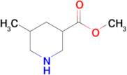 5-Methyl-3-piperidinecarboxylic acid methyl ester