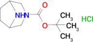 tert-Butyl 3,8-diazabicyclo[3.2.1]octane-3-carboxylate hydrochloride