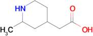 2-(2-Methylpiperidin-4-yl)acetic acid