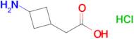 2-(3-Aminocyclobutyl)acetic acid hydrochloride