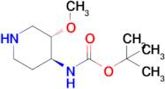 tert-Butyl N-[(3S,4S)-3-methoxypiperidin-4-yl]carbamate